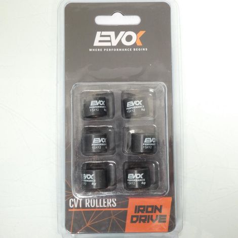 Variomatik-Rolle EVOK für Roller Malaguti 50 Crosser LC Neu (1/4)