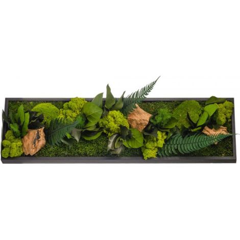 Tableau végétal mural stabilisé 70cm – Mousse naturelle et feuillage – Décoration écologique sans entretien – Fond noir – Naturalys (1/5)