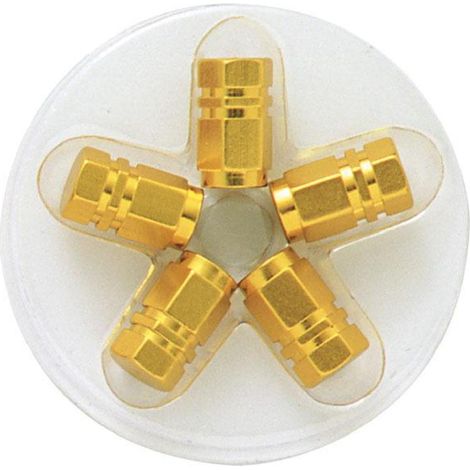 5 bouchons de Valves - Dores - Hexagonaux