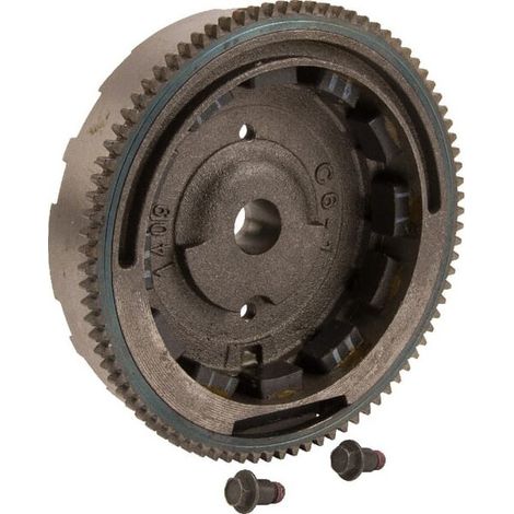 Volano Briggs e Stratton - 798882 (1/2)