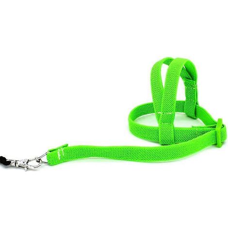 Corde d'entraînement anti-morsure de 2 m pour perroquet, laisse ultralégère et souple, accessoire pour animaux de compagnie - Vert