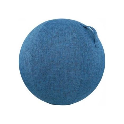 Housse pour ballon de fitness - Housse pour ballon de sport - Housse de protection résistante aux taches et durable pour le bureau - Convient aux ballons de 65 cm de diamètre - Noir (1/5)