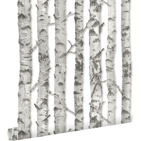 papier peint troncs de bouleau gris chaud clair - ESTAhome (1/5)