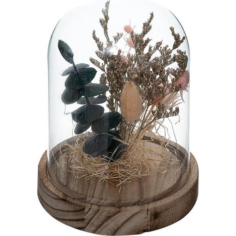 Cloche en Verre de Fleurs Séchées 17 cm - Rose - SILUMEN (1/3)