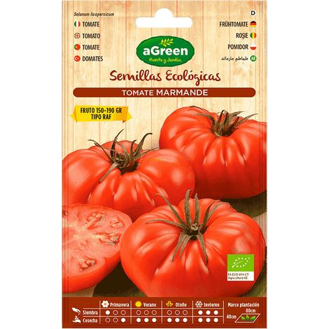 Sachet de graines de tomates Marmande RAF Agreen bio (1/3)