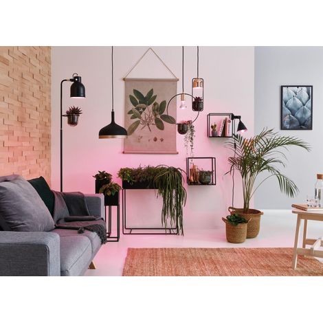 Lampe LED Lumière horticole 6,5 watts Ampoule Lumière de croissance Éclairage Lumière 1300 K E27, Pousse-plante (1/5)