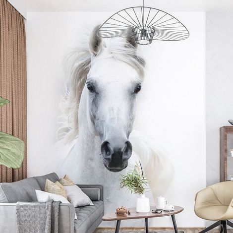 Papier peint panoramique - Cheval - 240 cm x 320 cm (1/4)
