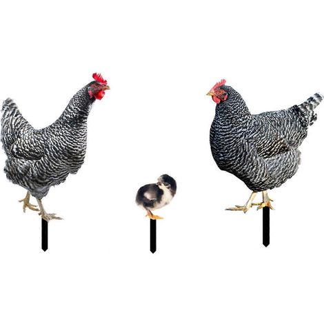 3 Stück Acryl-Gartenstecker in Form von Hahn, Henne und Huhn, langlebig