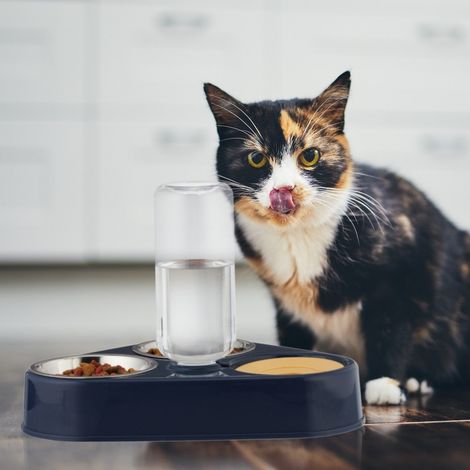 Mangiatoia per animali domestici a doppia ciotola con distributore dacqua