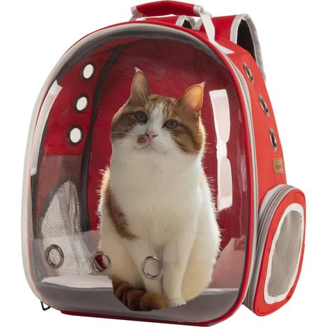 Sac à dos pour chat avec bulle transparente et capsule spatiale pour petit chien et chaton sac de randonnée pour animal
