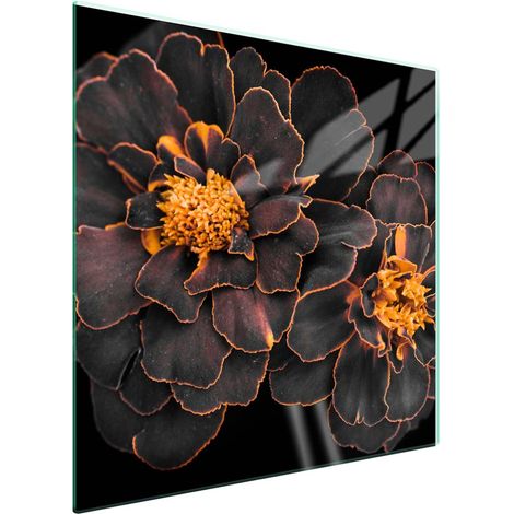 Protezione in vetro per piano cottura 50x52 cm con motivo floreale (1/5)