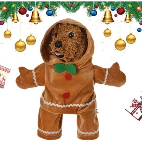 Costume de d'épices pour chien en d'épices doux (1/5)