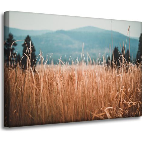 Leinwanddruck Natur Grashalme 70x50 cm Berge