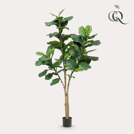 Ficus Lyrata Plante Artificielle 180 cm - Faux Figuier Lyre Réaliste pour Salon et Bureau Vert - PANGIVO (1/5)