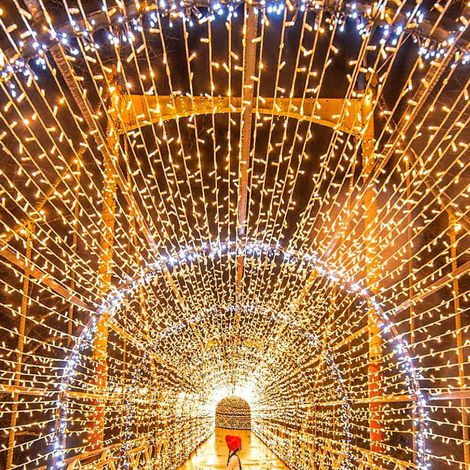 100M 1000 LED Lichterketten Karneval Hochzeit Outdoor Indoor Gartenbeleuchtung (1/5)