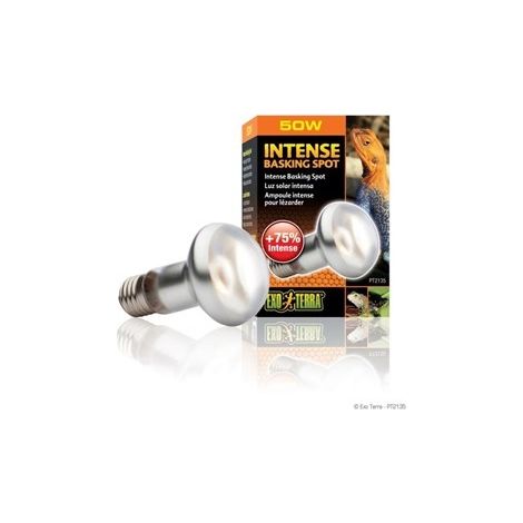 Exo Terra Intense Basking Spot, 50W