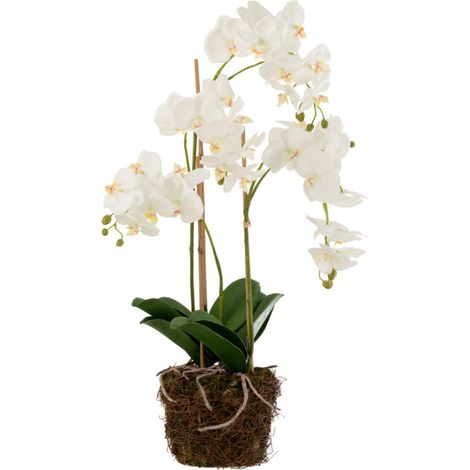 Fleur Artificielle Déco "Orchidée en Terre" 72cm Blanc (1/2)