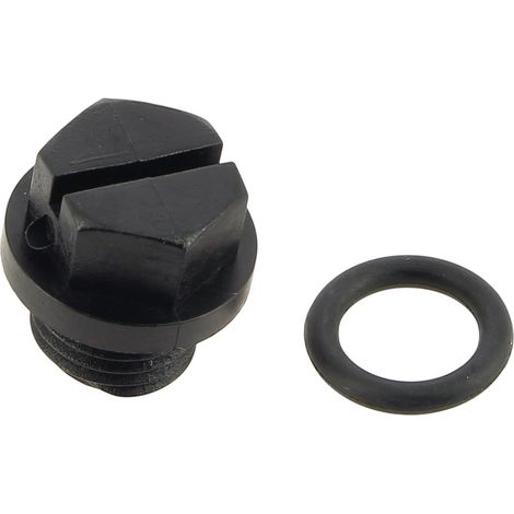 Ablassschraube mit max-flo-dichtung nm, typ 91, spx1700fg - poolpumpe (1/5)