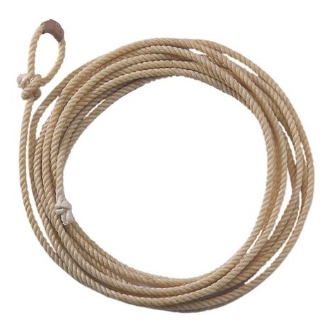 Lasso longueur ouest environ 9 mètres