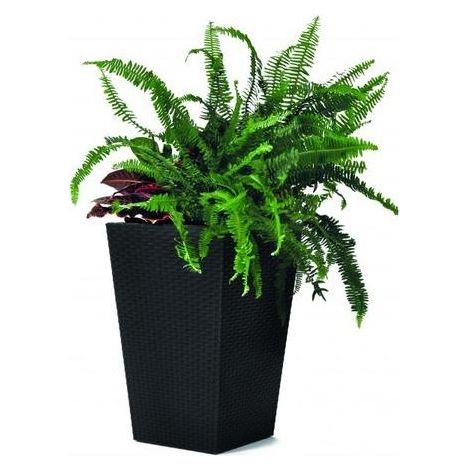 Keter Vaso Planter S Rattan anthrazit 23,6 l 28,5x28,5x43,5