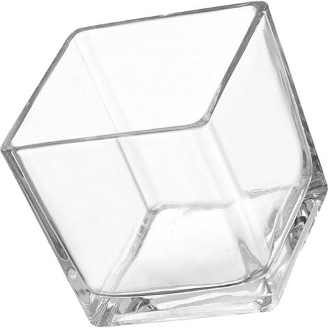 Vase Cubique en Verre Transparent 115 CM Pot Hydroponique Grand Format pour Fleurs et Succulentes Porte-Fleurs Décoratif pour Décoration Intérieure et Jardin Extérieur (1/5)