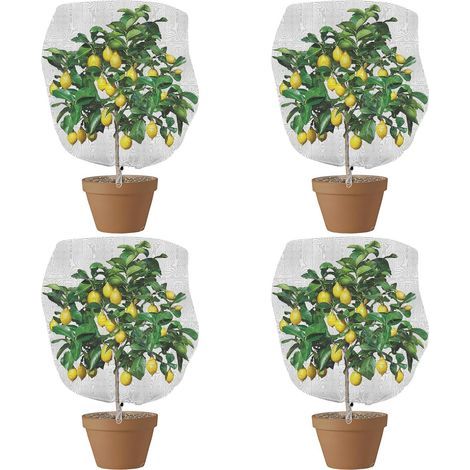 (150 x 100 cm) Set of 4 protective mesh garden nets for plants, insects, birds, with drawstring for flowers, fruits, vegetables. (1/5)