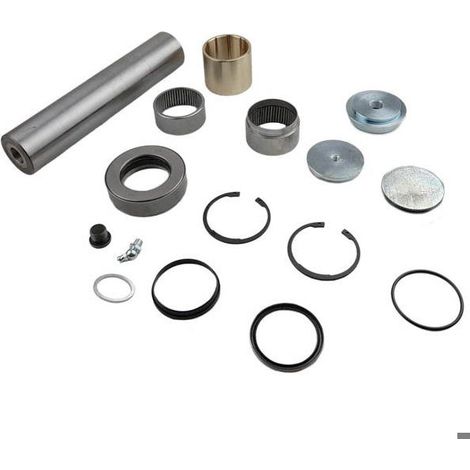Kit de reparación de pivote delantero Volvo Renault 7422536158, 5010630993 (1/4)
