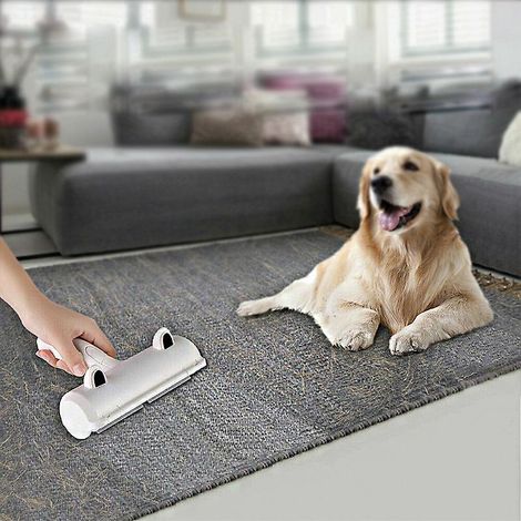 (rouge) Brosse D'pilation Pour Chat Et Chien, Brosse D'pilation Magique Rutilisable, Rouleau Pour Poils D'animaux, Pilateur (vtements/canap/voitur (1/5)