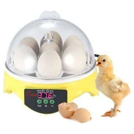 Automatic Incubator for 7 Eggs with Digital Temperature Control - for Poultry Farming - Chicken Duck Quail,INHHUB (1/4)