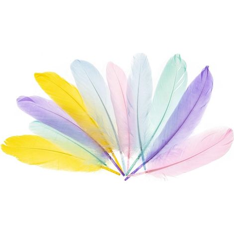Plumes d'oie 15-20 cm pastel