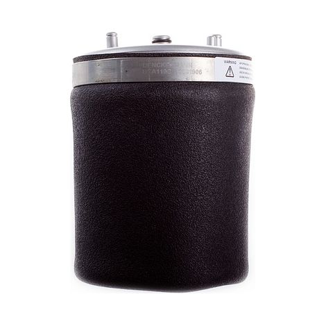 Muelle neumático trasero DSA110G denckermann