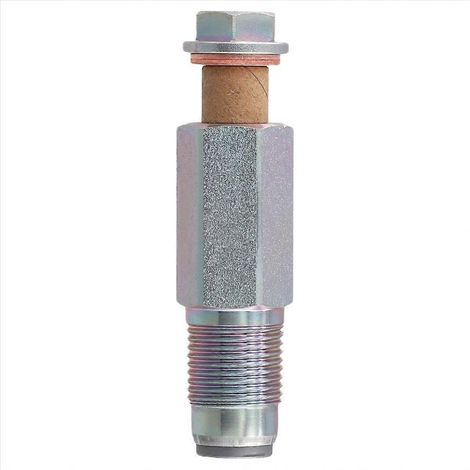 Soupape limiteuse de pression de carburant Common Rail pour (1/5)