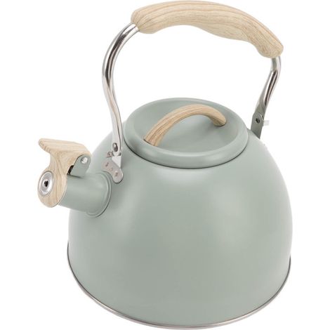 Théière sifflante 3L, vert clair, fond plat, en acier inoxydable, poignée en plastique technique, pour la maison (1/5)