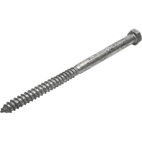 Vis tire-fond 1,27 x 25,4 cm Tête hexagonale Galvanisé à chaud Boîte de 10 pièces (1/5)