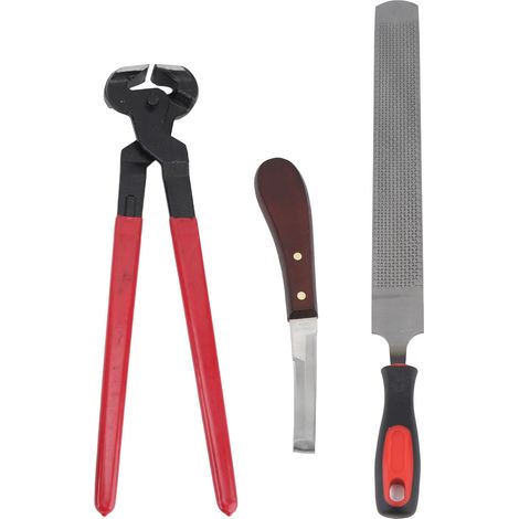 Lot de soins pour sabots - Lime double face en acier - Kit de parage pour chevaux, bovins, moutons et ânes (1/5)