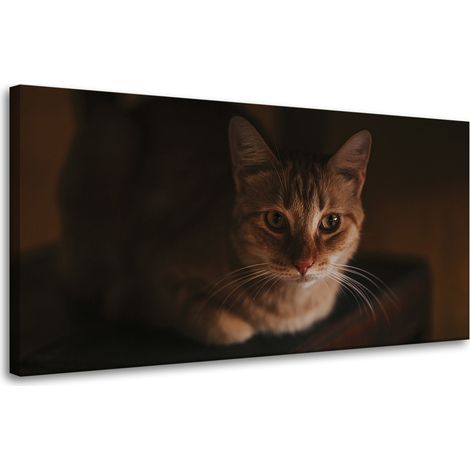Lienzo impreso con la imagen de un gato doméstico (80x40 cm).