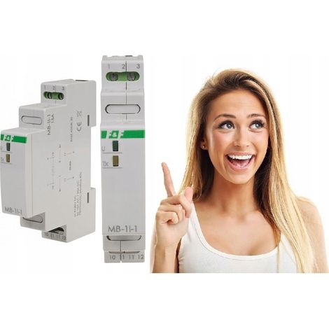 F&F Convertisseur de tension MB-1U-1 - 9–30V - Modbus RTU - Précision élevée - Installation facile (1/5)