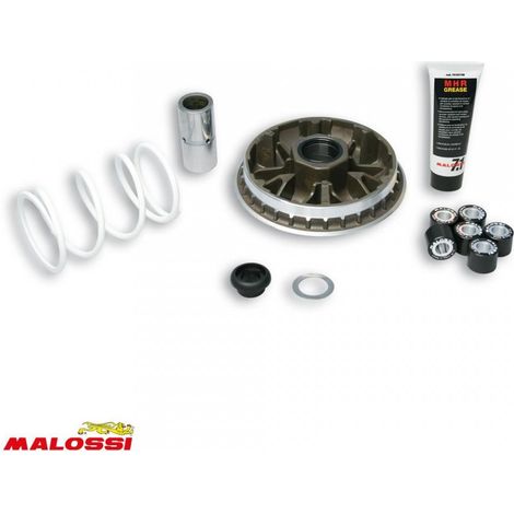 Variateur Malossi pour Scooter Honda 300 SH Après 2010 5114192 /