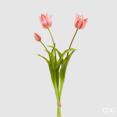 EDG Enzo De Gasperi Tulipano Gommato Olis 3 Rami H 48 Cm Rosa Crema 1 Cf