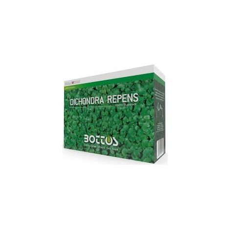 Bottos Dichondra Repens da 500 g