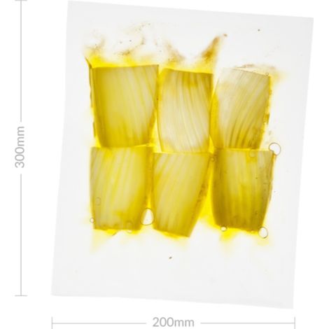 Sac Sous-Vide 200 mm x 300 mm - Boîte de 200 - SousVideTools