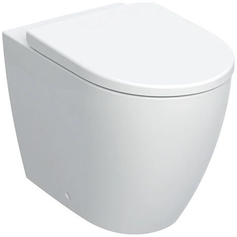 Geberit – Cuvette au sol filoparete 36x56 cm blanc brillant – Fibre de verre – Rimfree – Siège antibactérien en duroplast – Déchargement horizontal/vertical (1/6)
