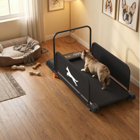 Kompaktes 2-in-1 Hundelaufband, 2,5-PS-Motor, schwarz HAVRYA (1/4)