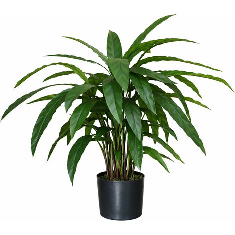60cm Artificial Calathea Evergreen Plant (1/5)