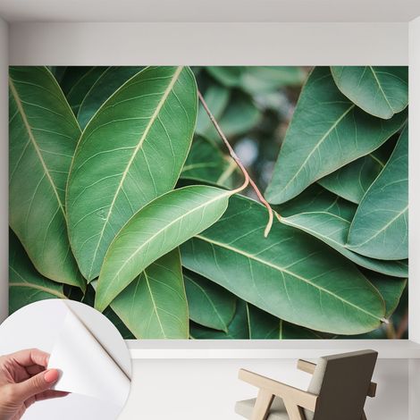 Papier peint autocollant avec imprimé pour décoration intérieure pour rénovation a motif Feuilles vertes 152x104 cm (1/5)