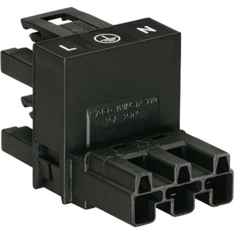WAGO  Netz-H-Verteiler Netz-Stecker - Netz-Buchse, Netz-Buchse Gesamtpolzahl: 2 + PE Schwarz  1 St.