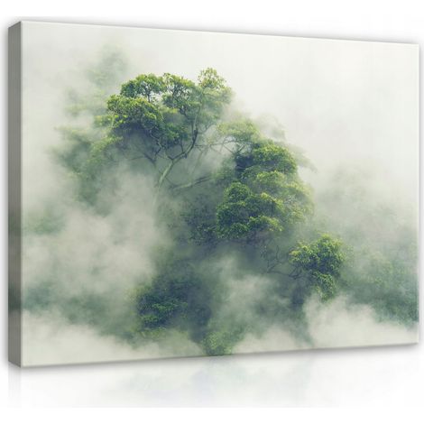 toile fort dans la brume nature jungle 60x40 (1/3)