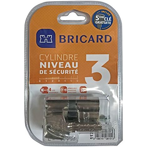 Cilindro serratura frizionabile BRICARD Astral L.30 + 40 mm BRICARD (1/4)