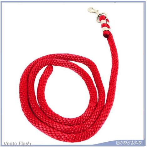 Corde de longe pour cheval épaisse avec mousqueton, 2m - Entraînement sûr et fiable (1/4)