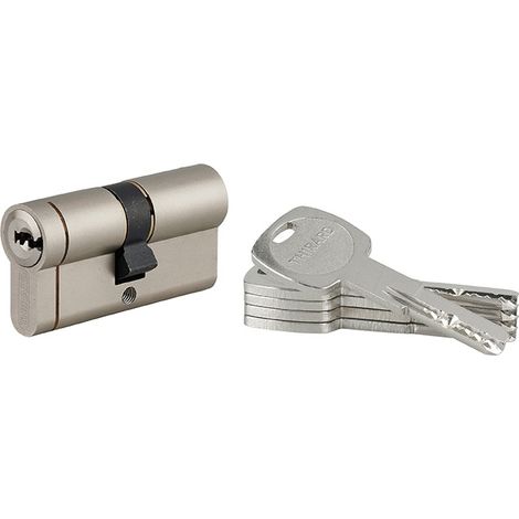 Cilindro europeo Transit 1 30 x 30 mm, nichelato, 6 perni, 5 chiavi – THIRARD (1/3)